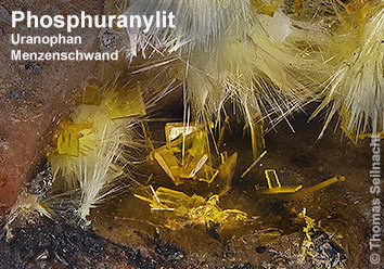 Phosphuranylit aus Menzenschwand