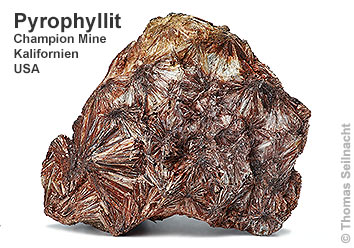 Pyrophyllit aus der Champion Mine