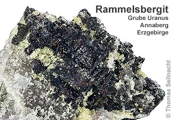 Rammelsbergit aus der Grube Uranus