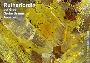 Rutherfordin aus der Grube Uranus