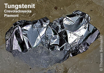 Tungstenit aus Crevoladossola