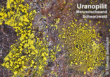 Uranopilit aus Menzenschwand