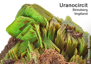 Uranocircit aus Menzenschwand