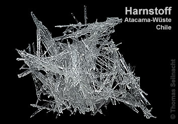 Urea (Mineral), Harnstoff – Seilnacht