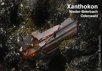 Xanthokon aus Nieder-Beerbach