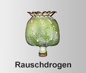 Lexikon der Rauschdrogen