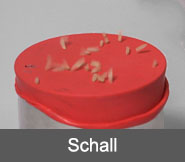 Schall