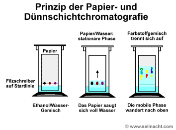 Lösungen Dünnschichtchromatografie