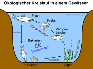 Bild vergrößern!