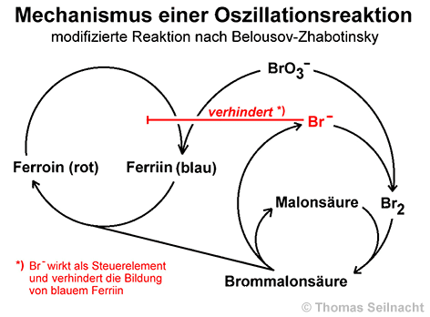 Bild vergrößern!